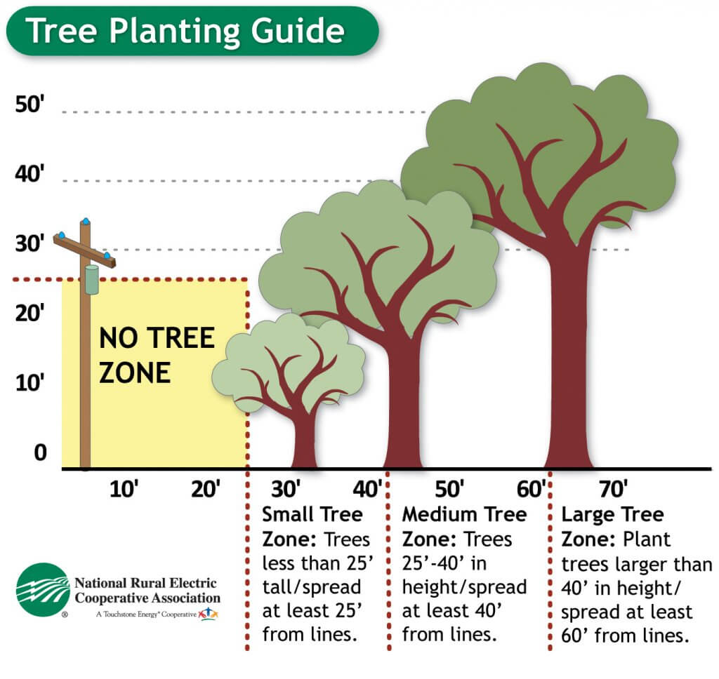 Tree Guide