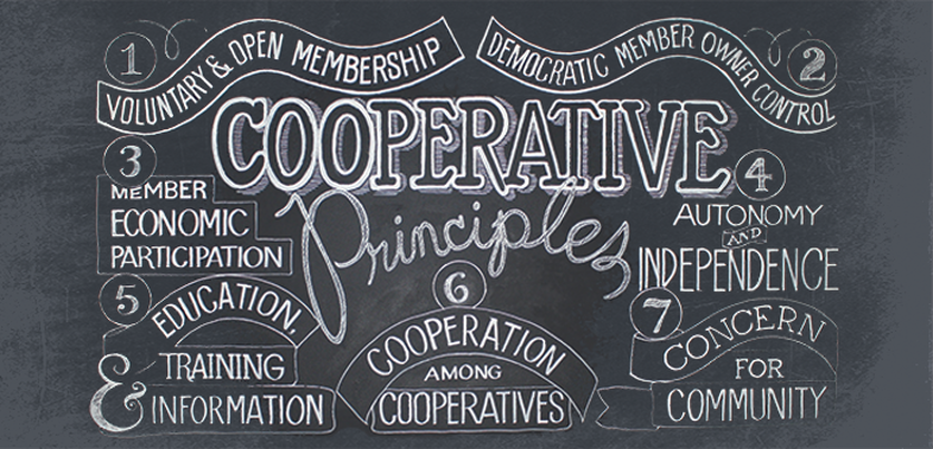 7 Cooperative Principles